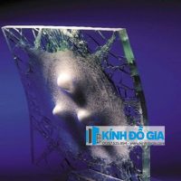 ung-dung-cua-kinh-cuong-luc-de-chong-dan (3)